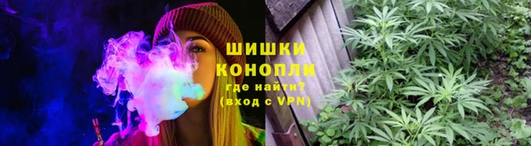 эйфоретик Сосновый Бор