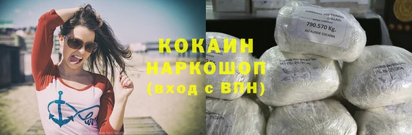 прущие грибы Баксан