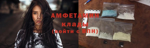 прущие грибы Баксан