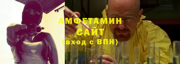 прущие грибы Баксан