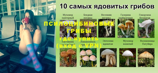 прущие грибы Баксан