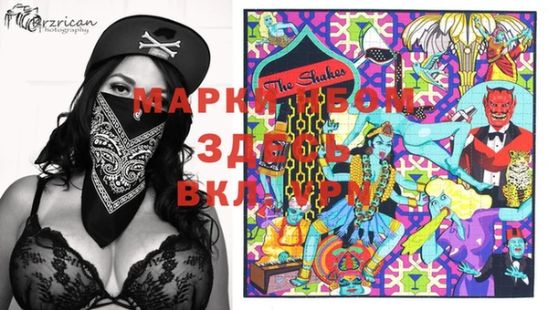 прущие грибы Баксан