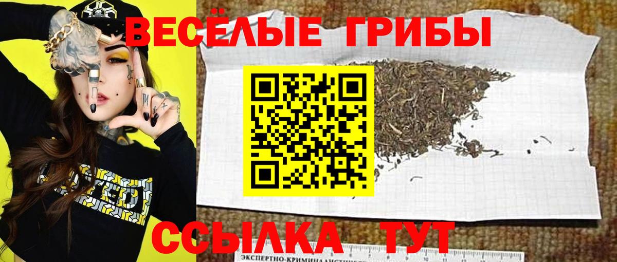 Псилоцибиновые грибы мухоморы  Вход с VPN  Заречный 