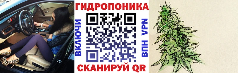 Канабис сатива  Заречный 